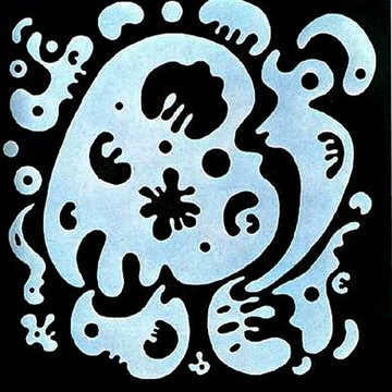 Musée départemental dart moderne ; collection Zervos