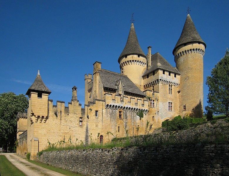 Photo de Château de Puymartin