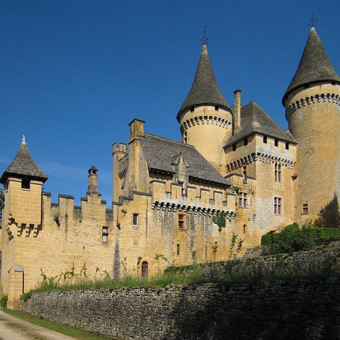 Photo de Château de Puymartin