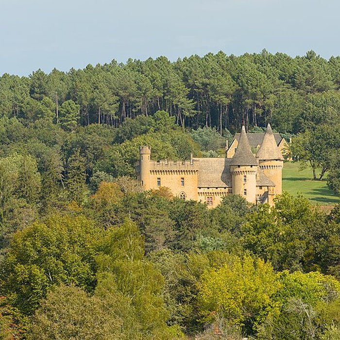 Photo de Château de Puymartin