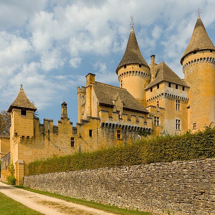 Photo de Château de Puymartin