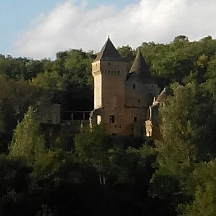 Photo de Château de Puymartin