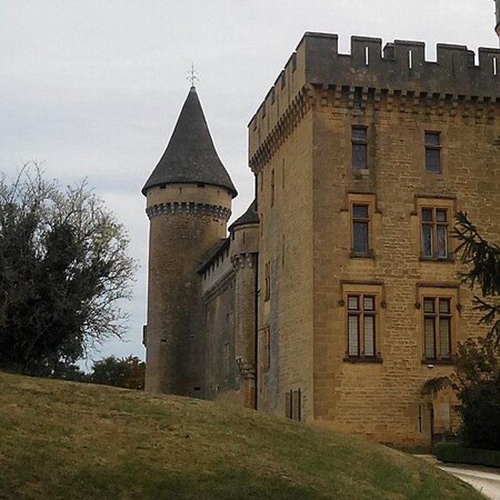 Photo de Château de Puymartin