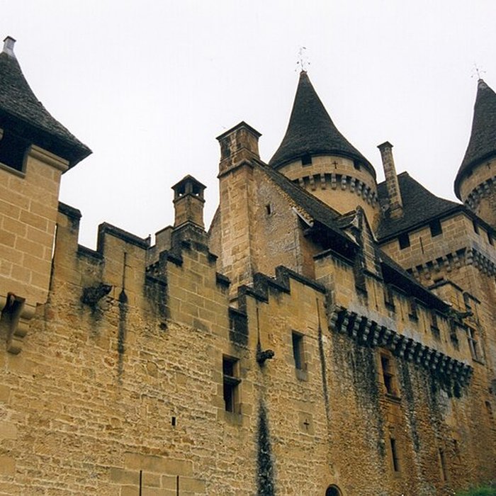 Photo de Château de Puymartin