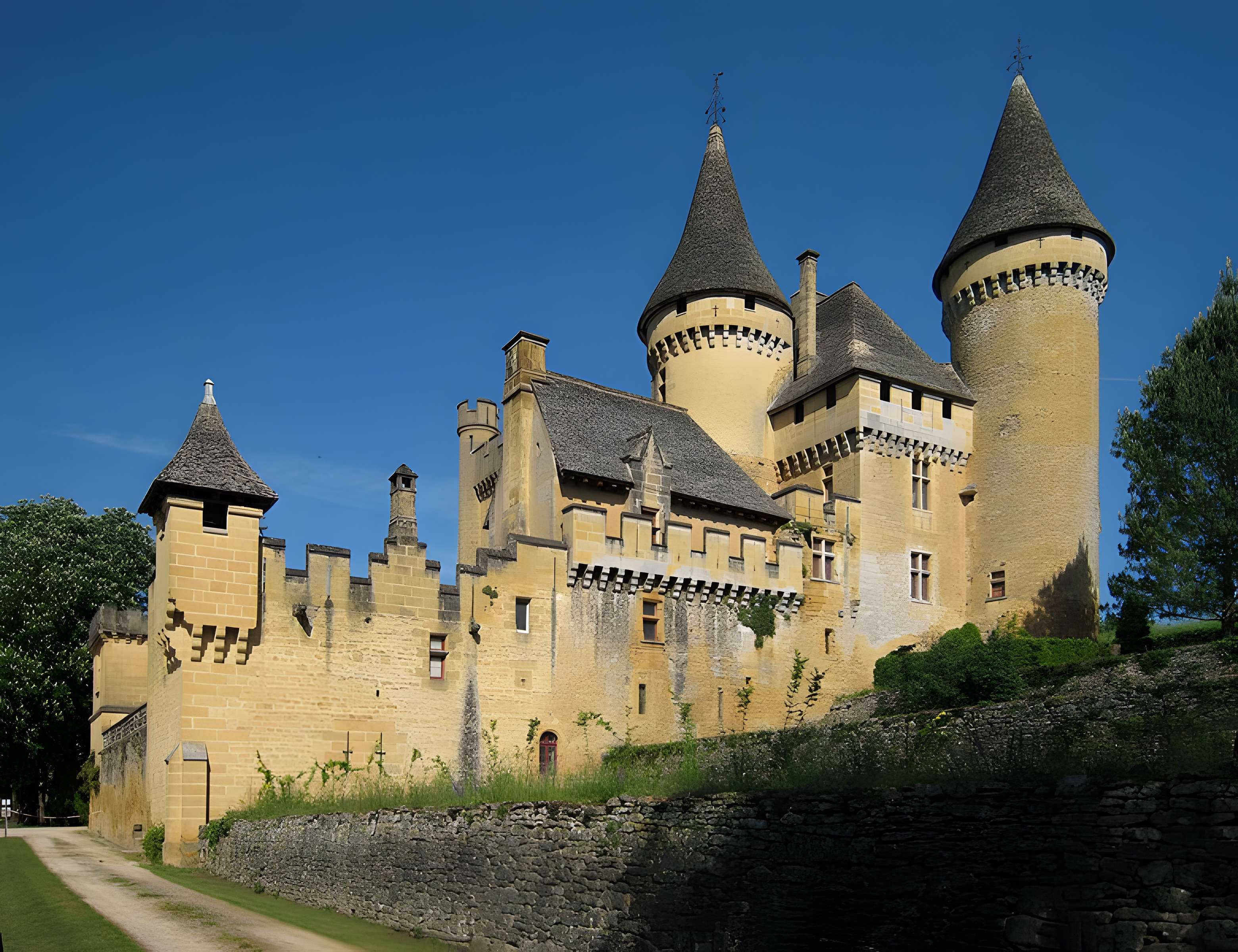 Château de Puymartin 
