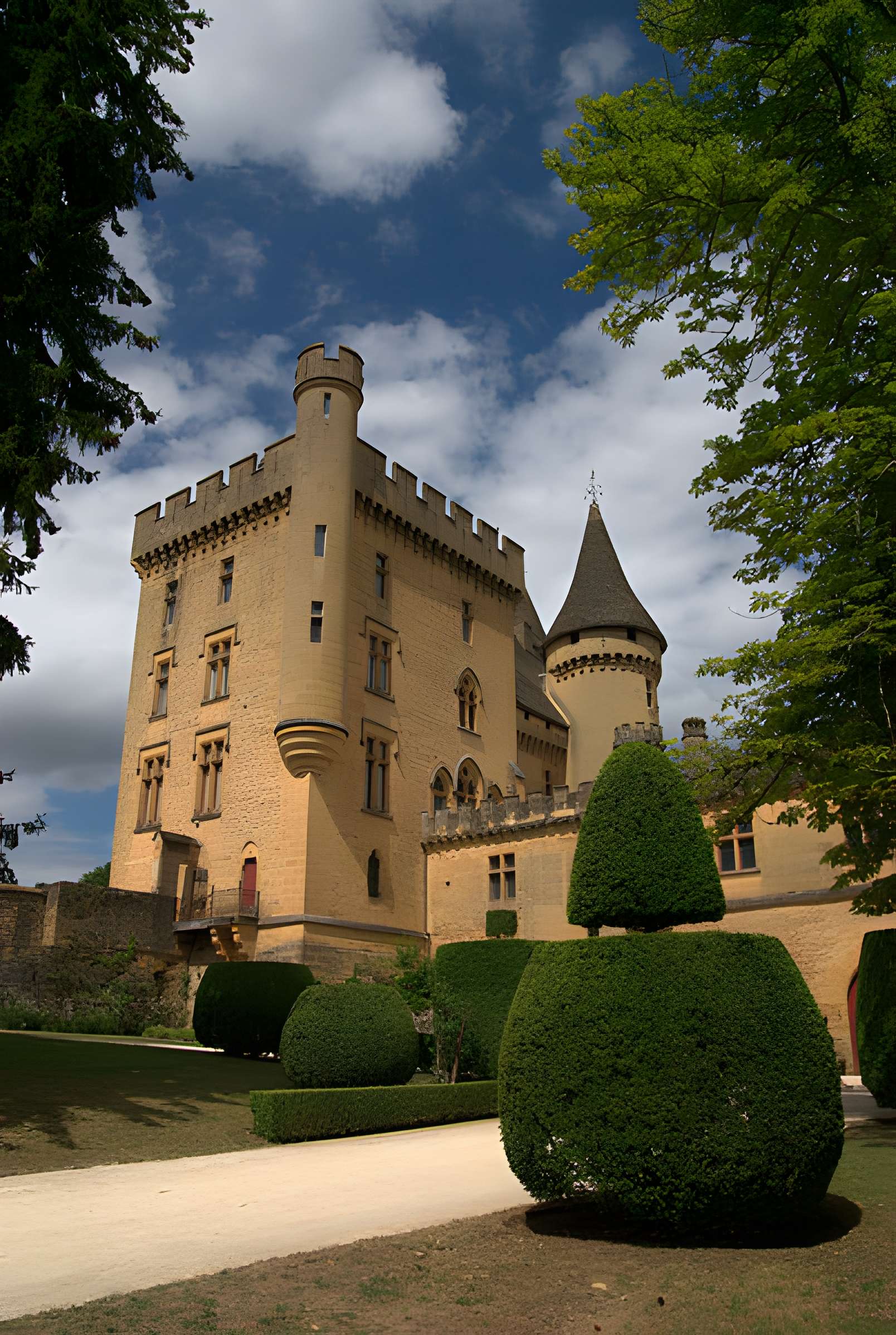 Château de Puymartin