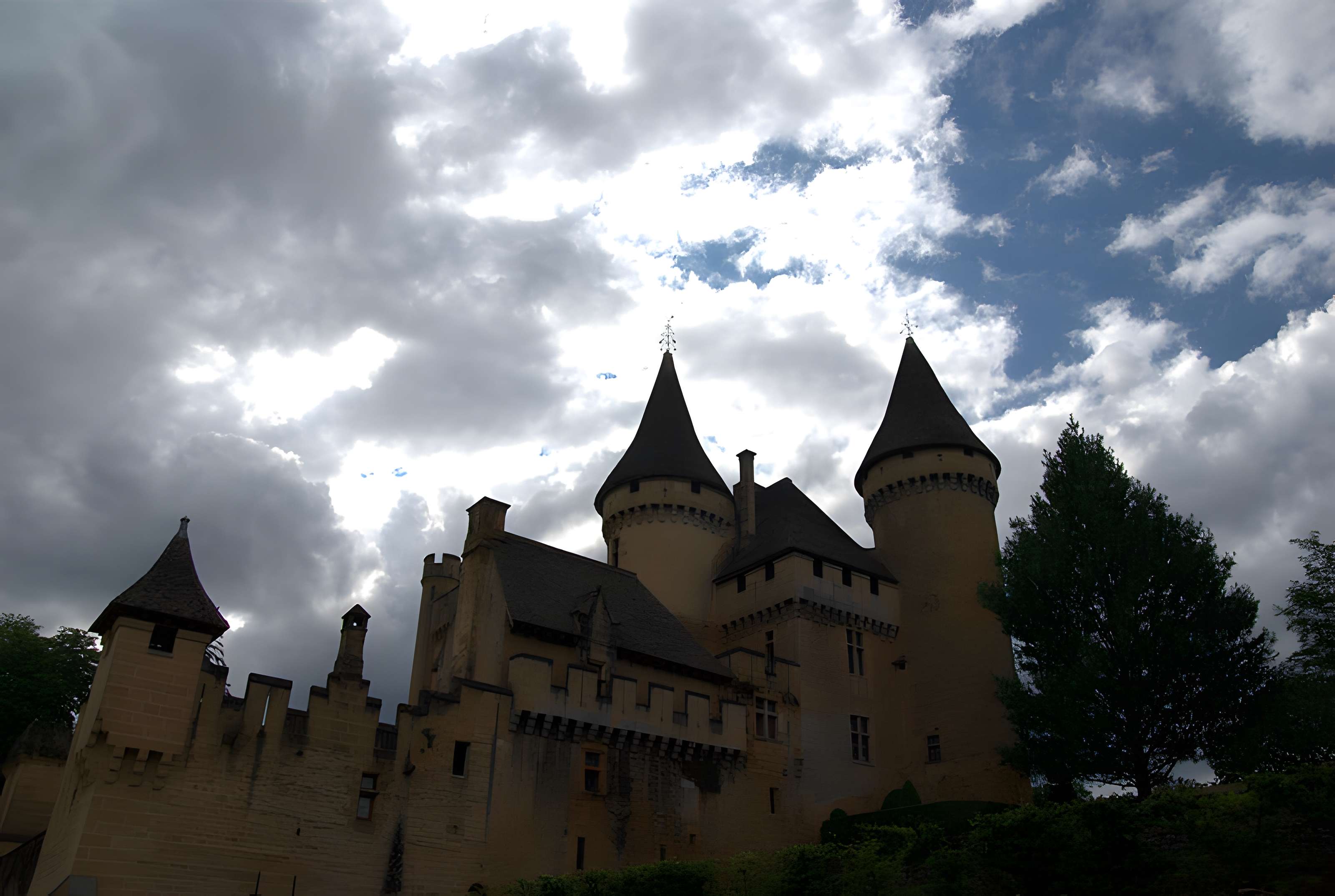 Château de Puymartin