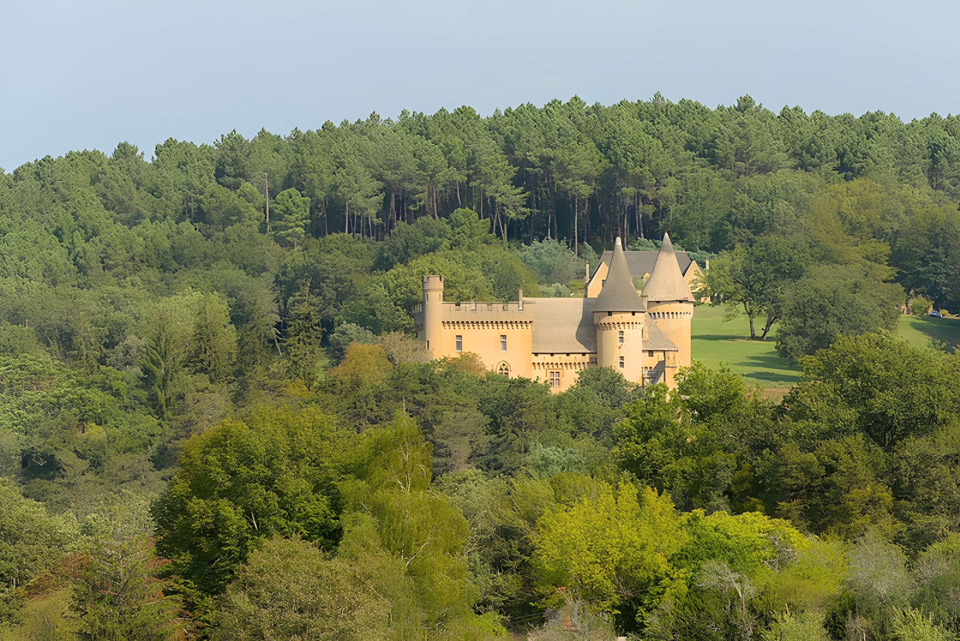 Château de Puymartin