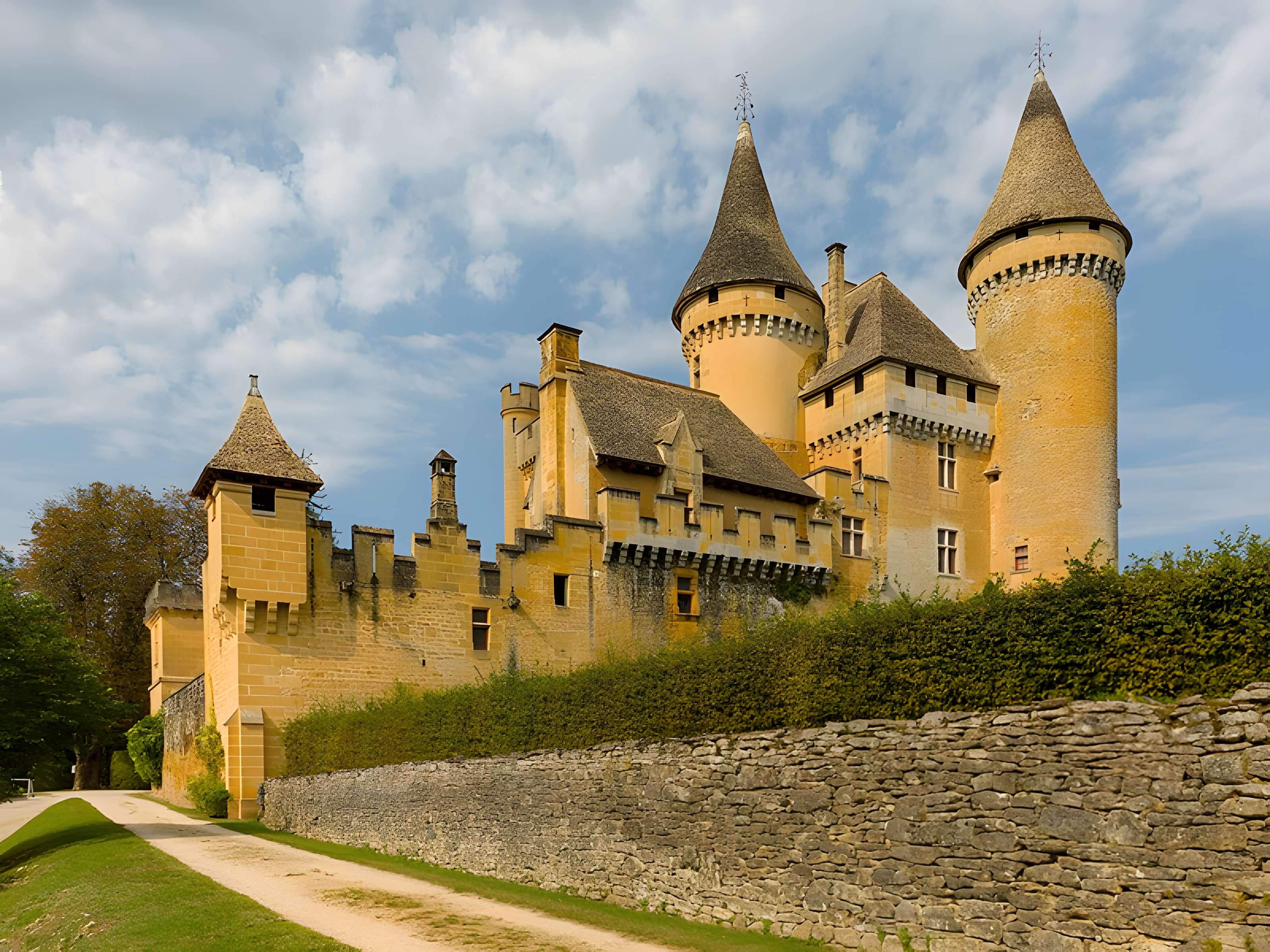 Château de Puymartin