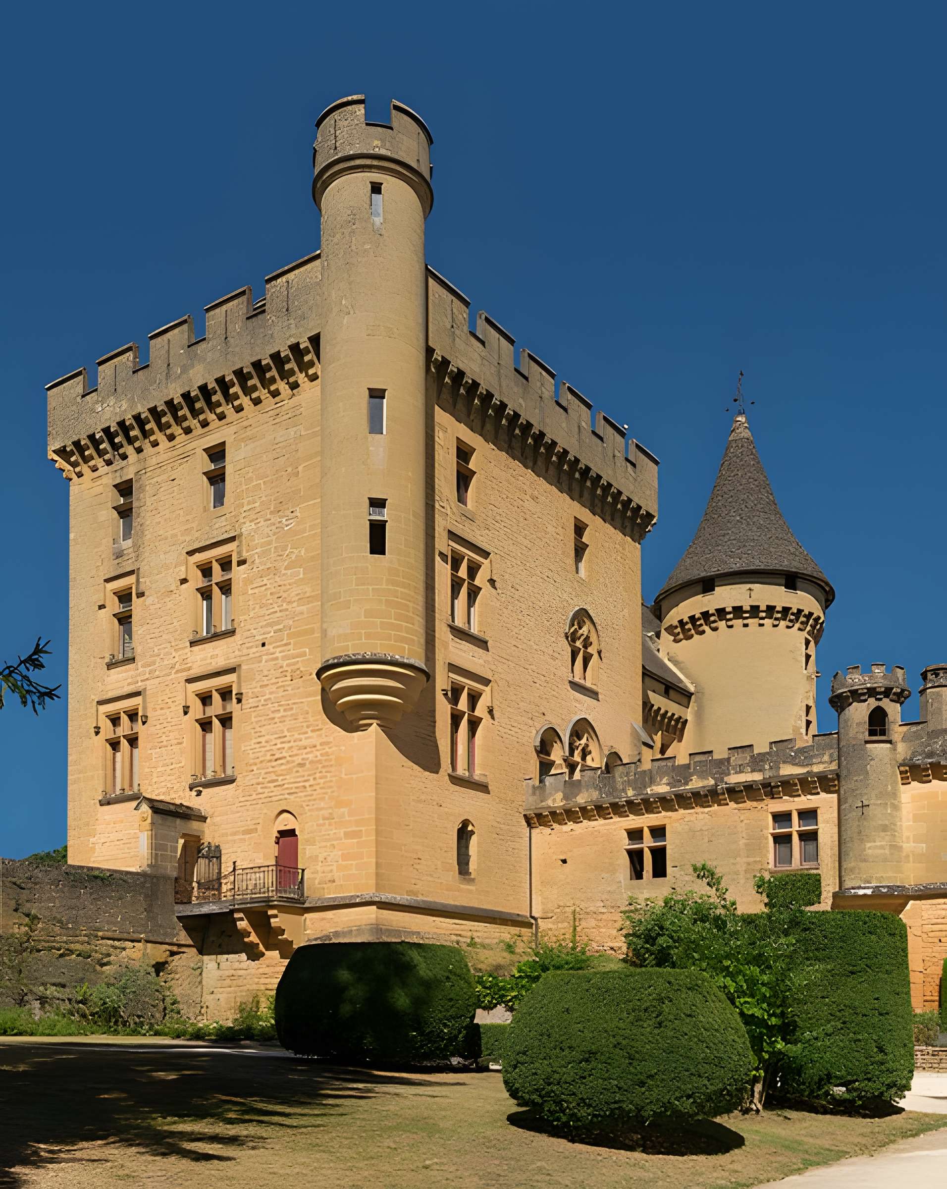 Château de Puymartin