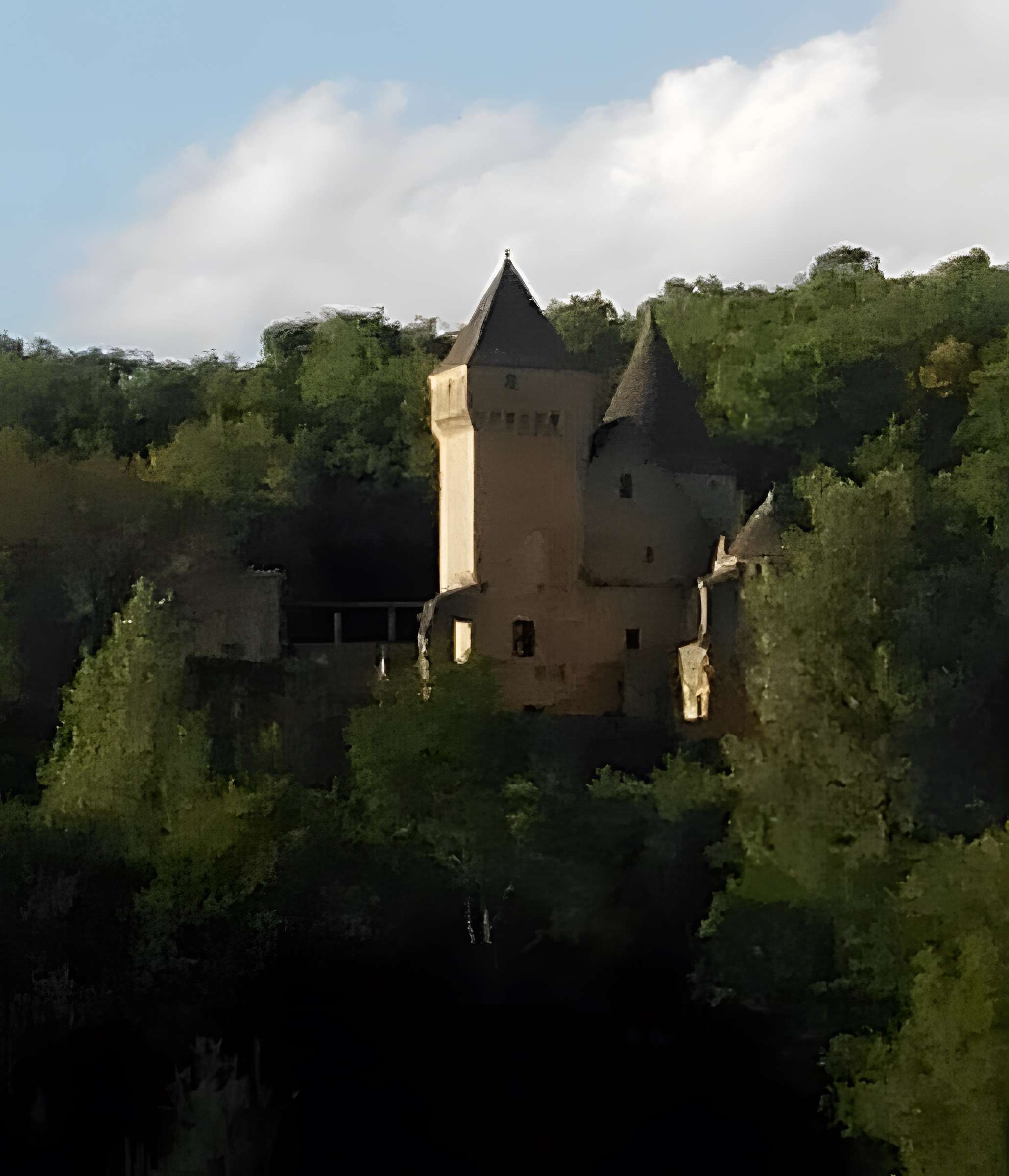 Château de Puymartin