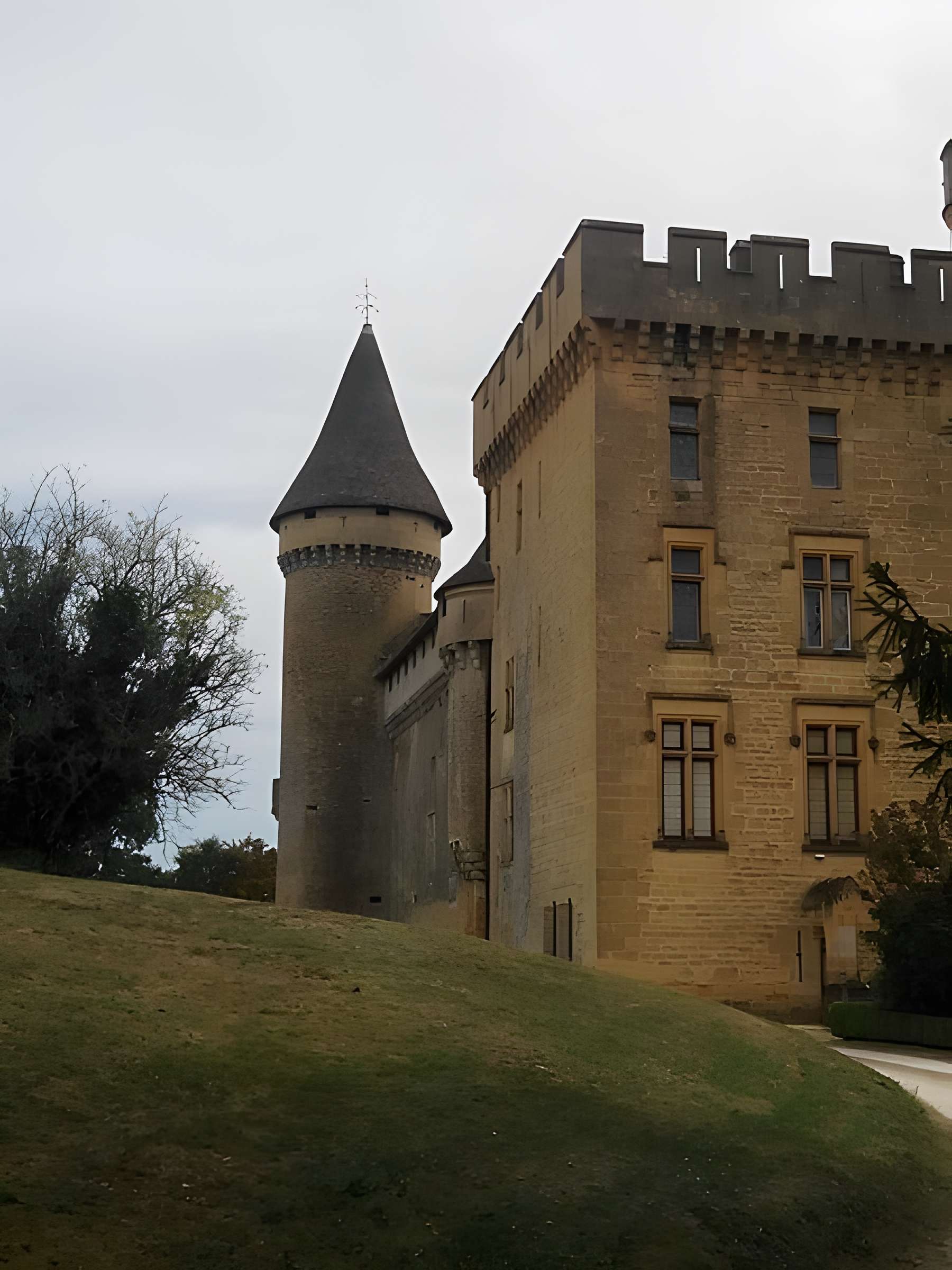 Château de Puymartin