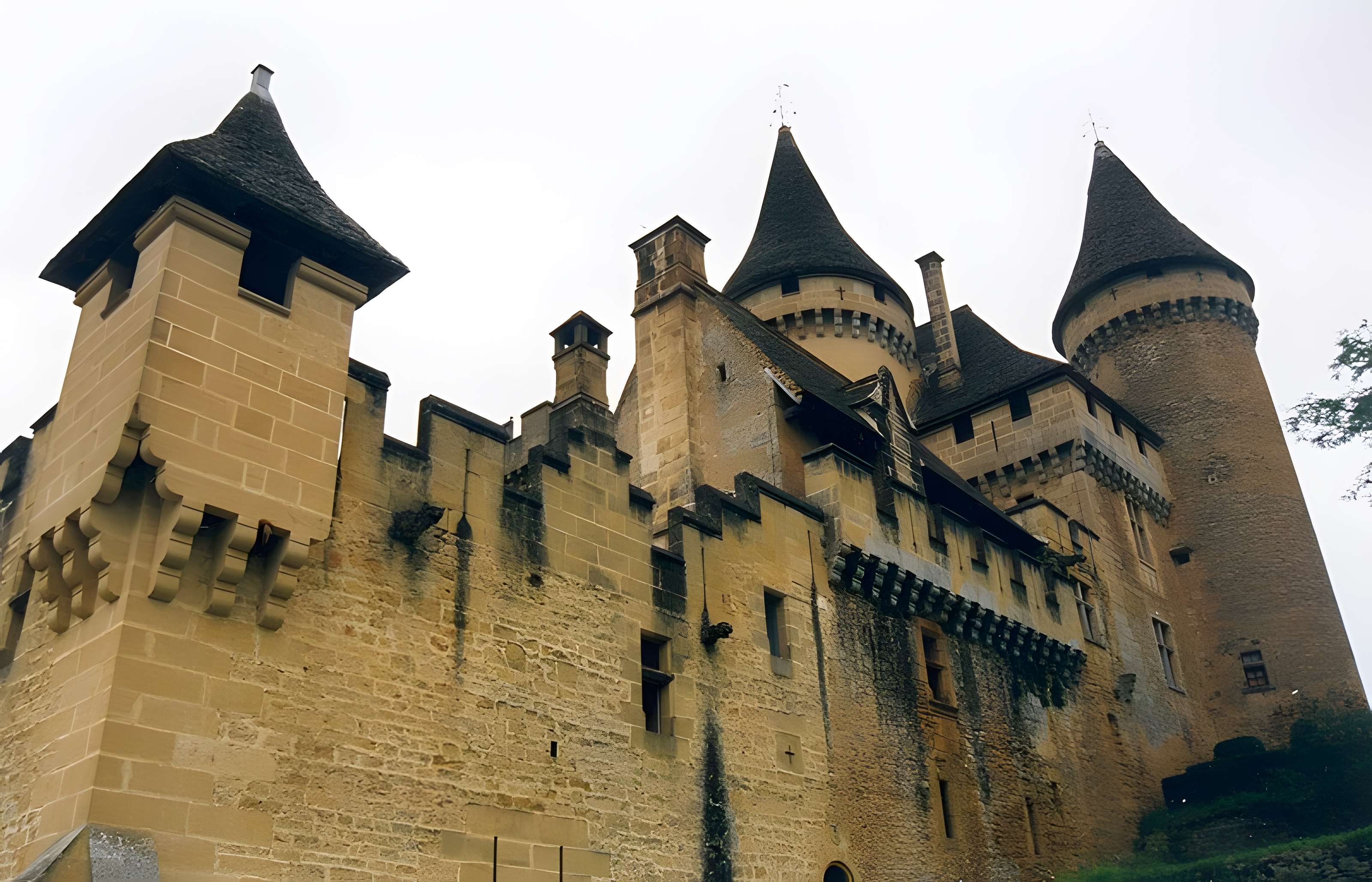 Château de Puymartin