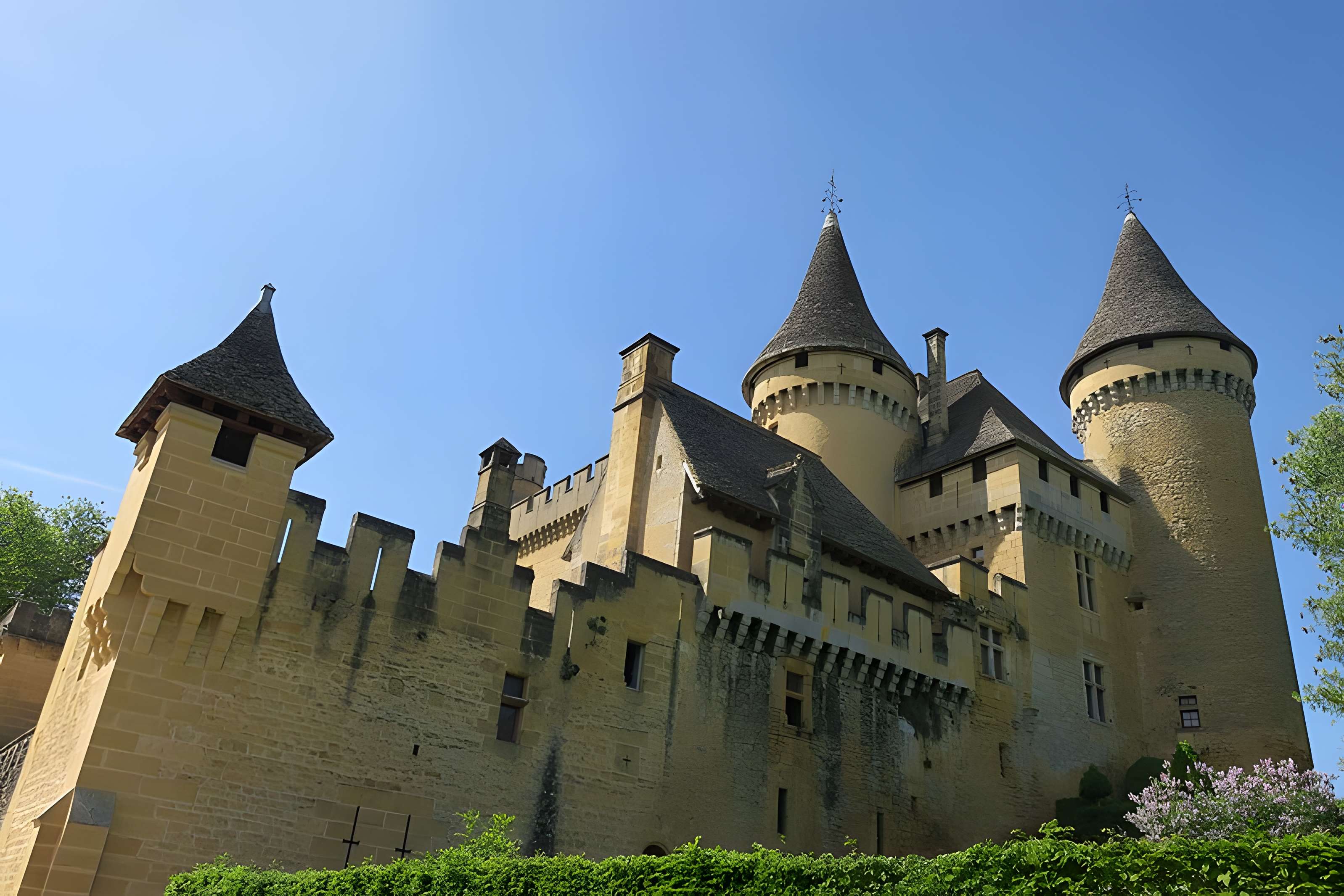 Château de Puymartin