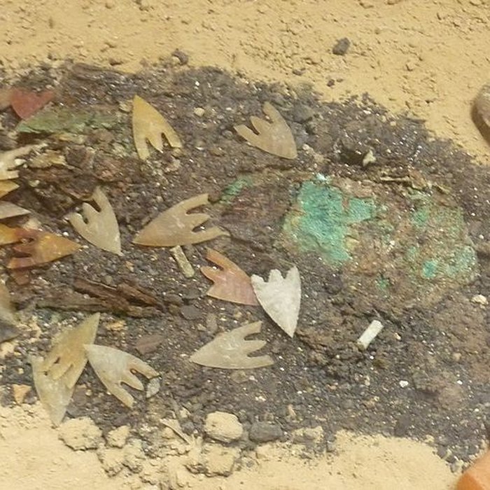 Photo de Musée de la Préhistoire finistérienne à Penmarch