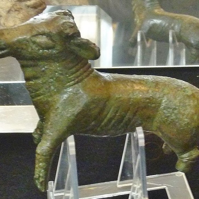 Photo de Musée de la Préhistoire finistérienne à Penmarch