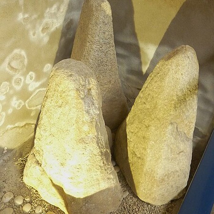 Photo de Musée de la Préhistoire finistérienne à Penmarch