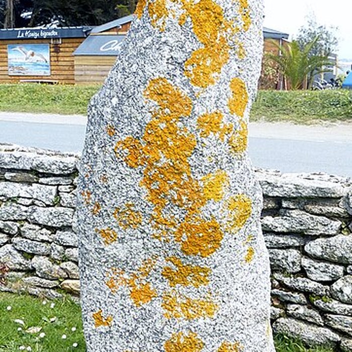 Photo de Musée de la Préhistoire finistérienne à Penmarch