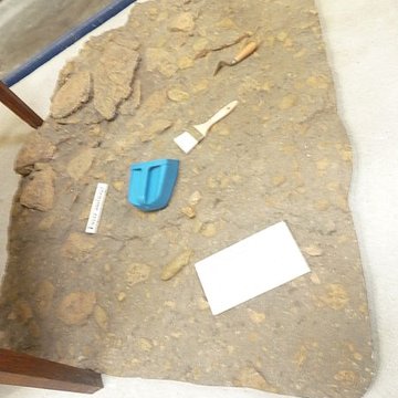 Musée de la Préhistoire finistérienne à Penmarch