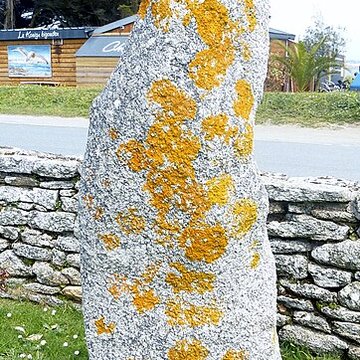 Musée de la Préhistoire finistérienne à Penmarch