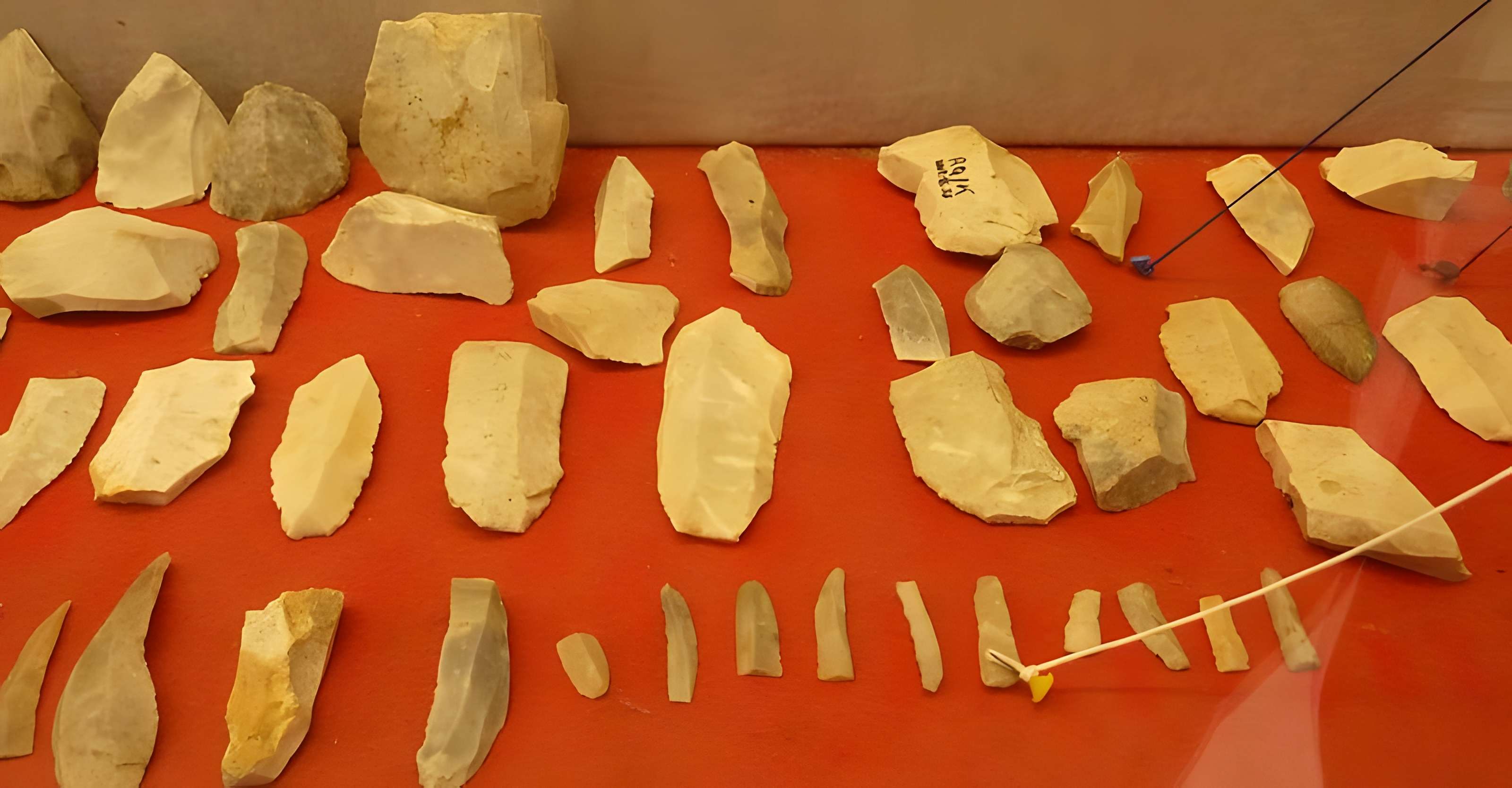 Musée de la Préhistoire finistérienne à Penmarch