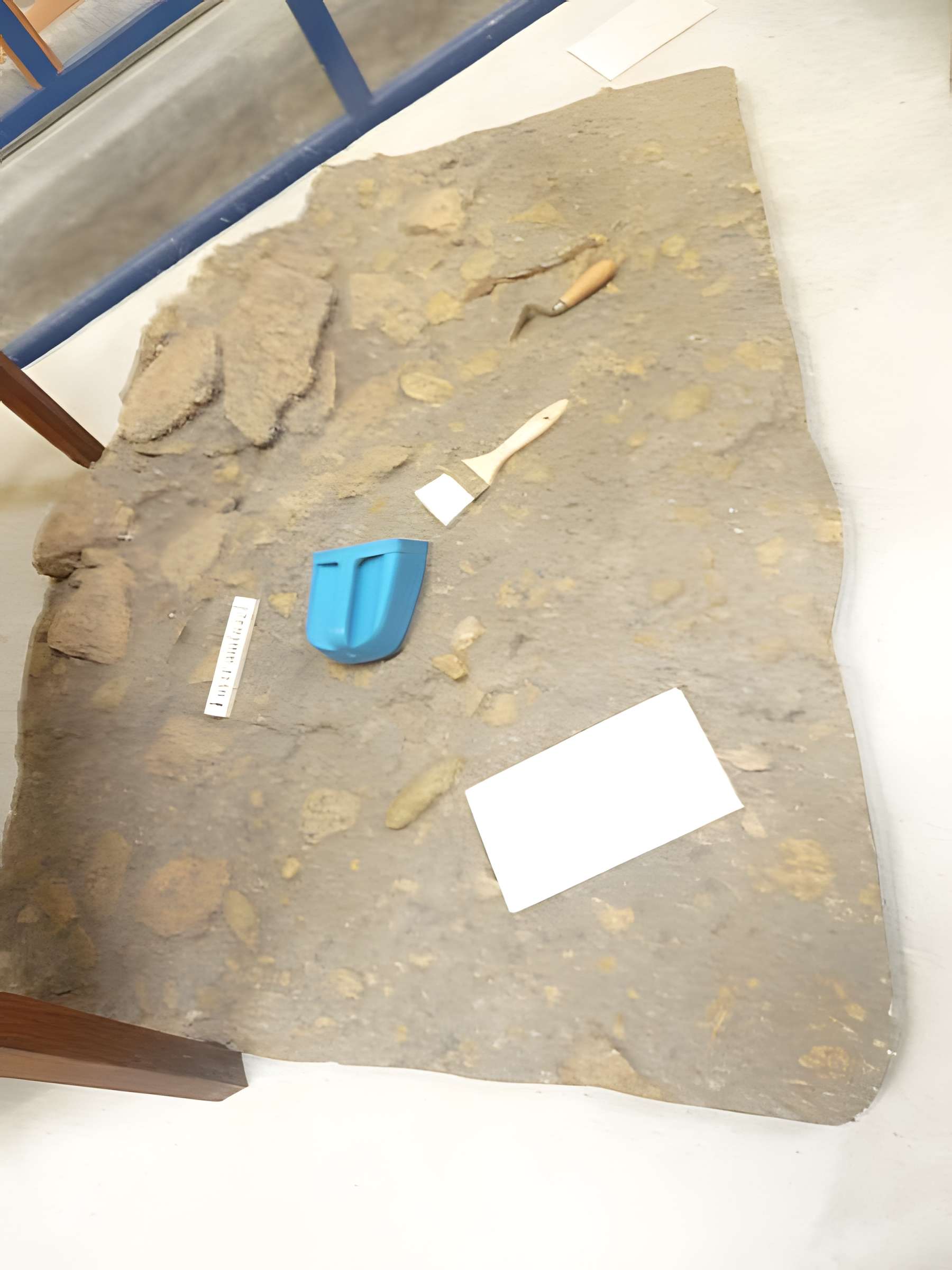 Musée de la Préhistoire finistérienne à Penmarch