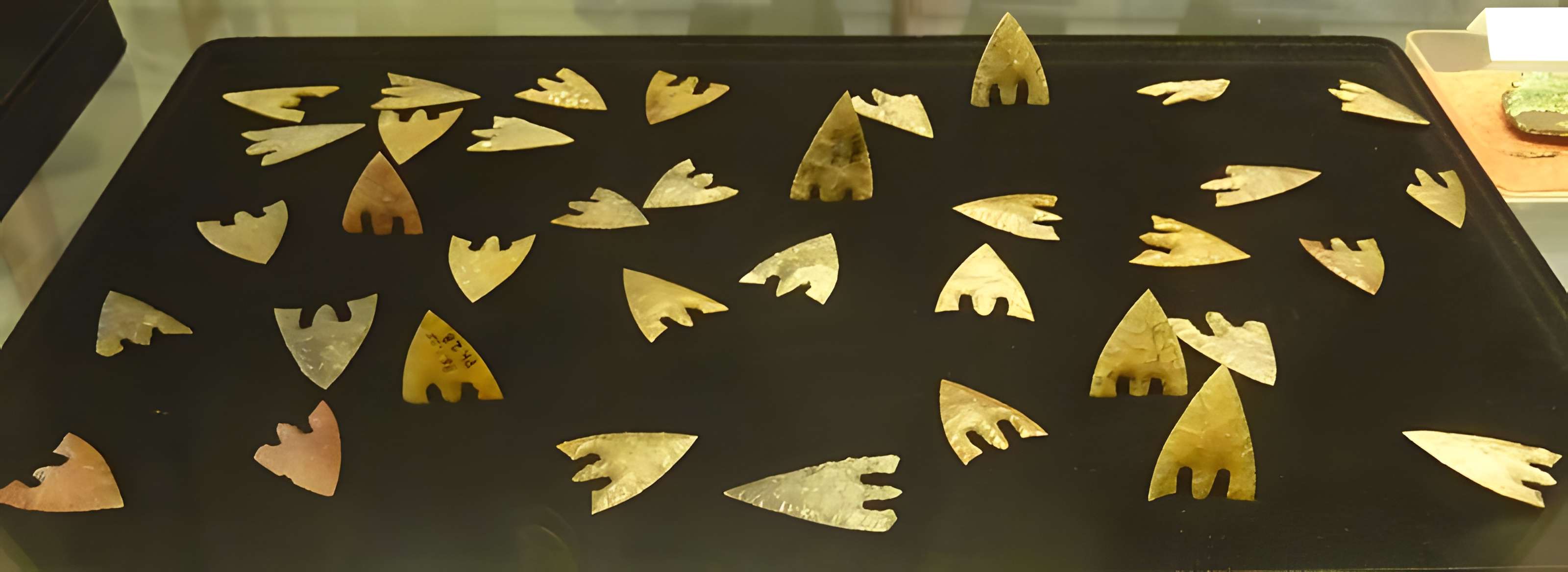 Musée de la Préhistoire finistérienne à Penmarch