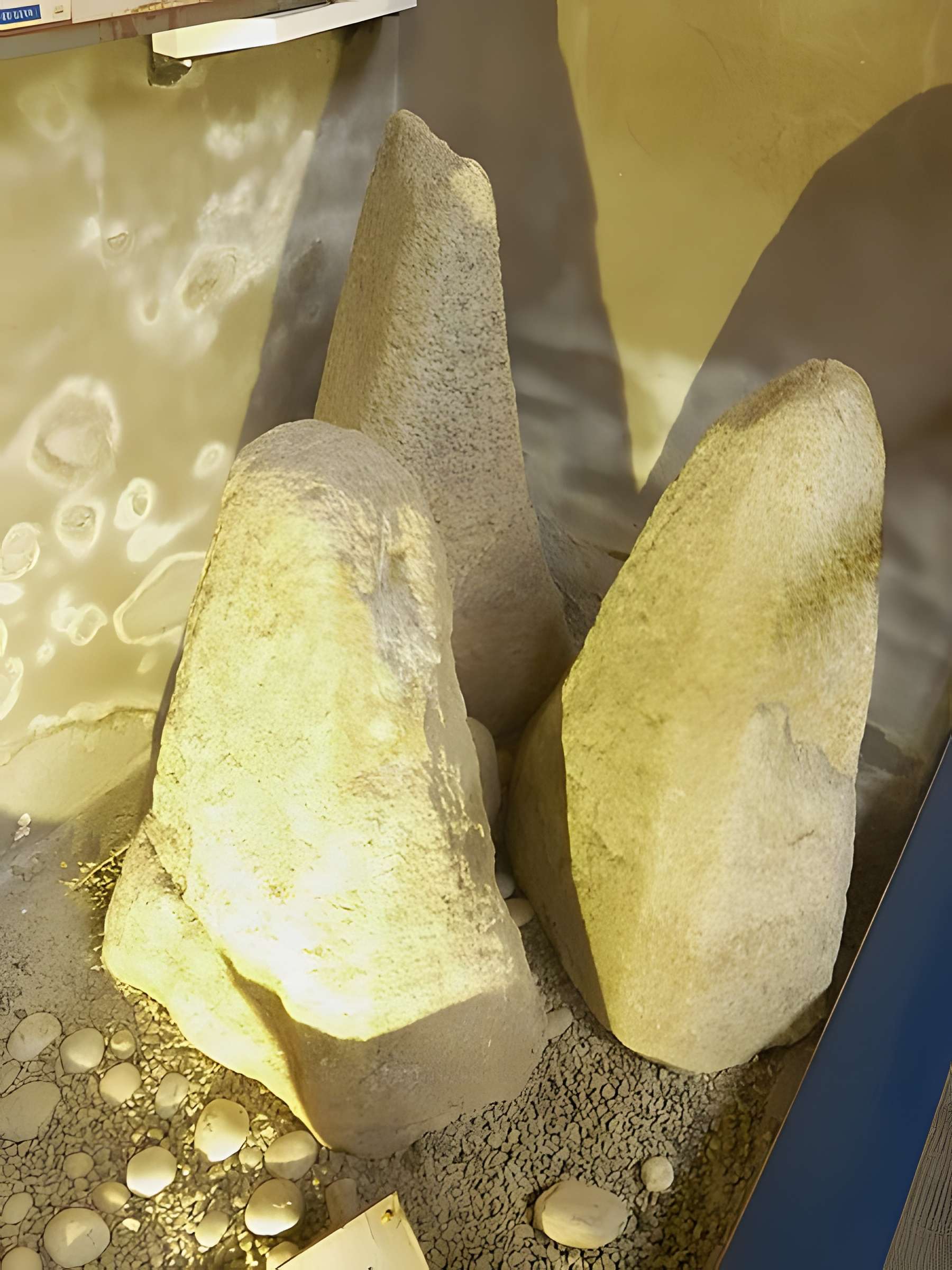 Musée de la Préhistoire finistérienne à Penmarch