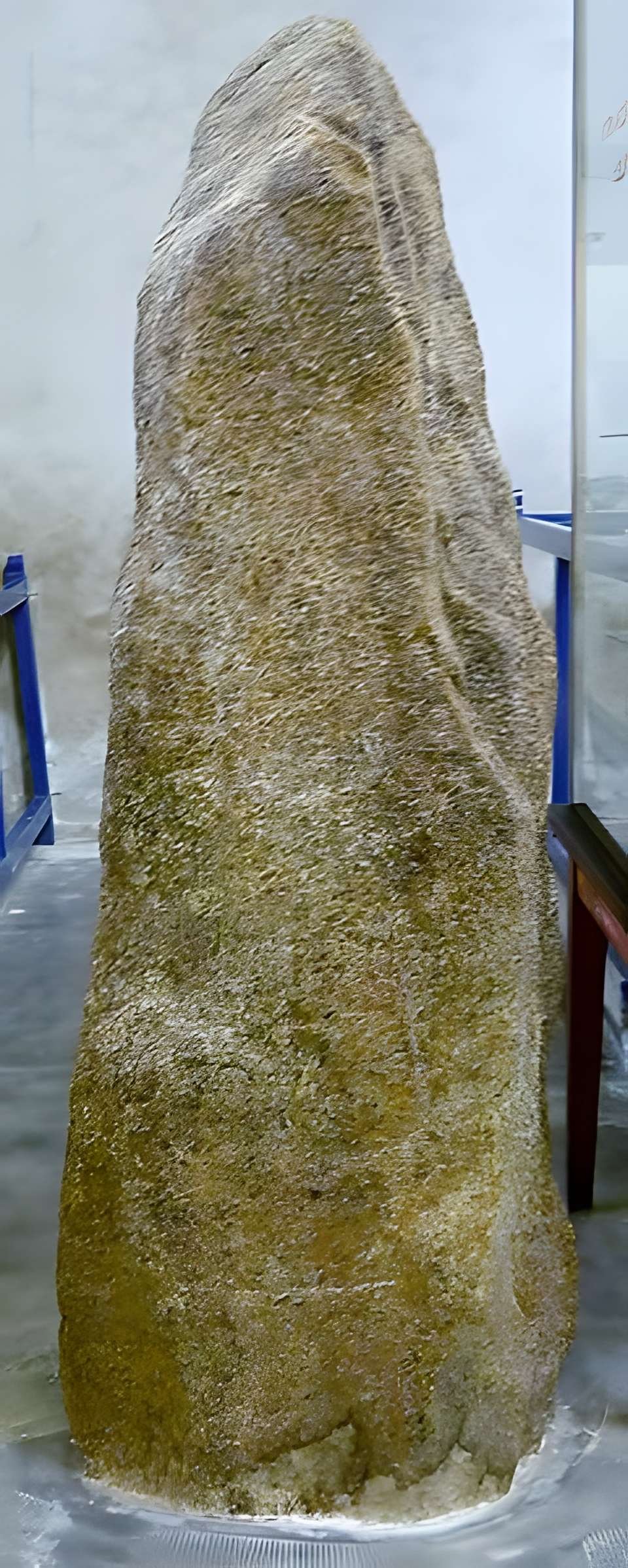 Musée de la Préhistoire finistérienne à Penmarch