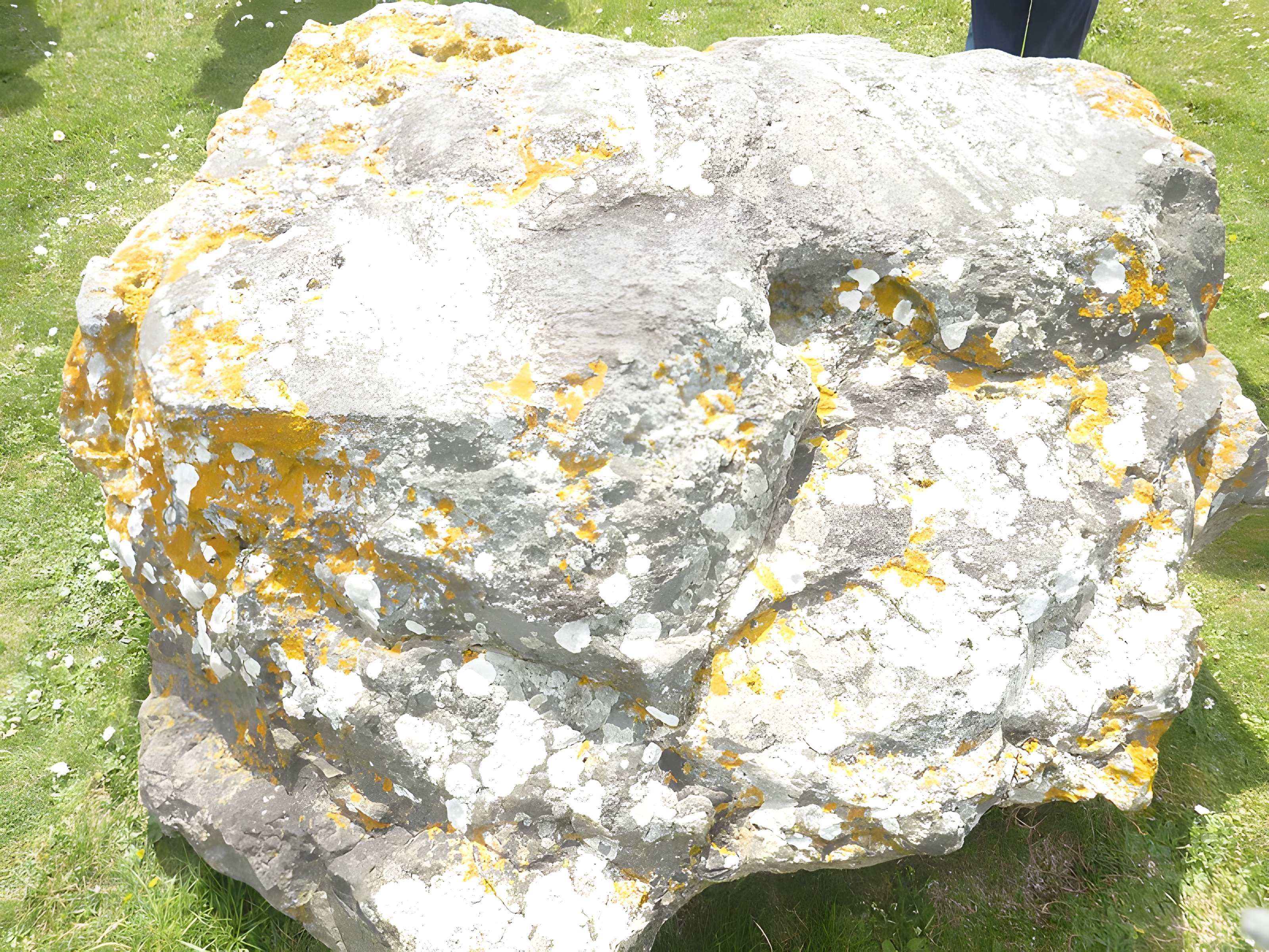 Musée de la Préhistoire finistérienne à Penmarch