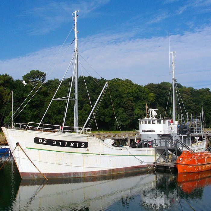 Photo de Le Port-musée de Douarnenez