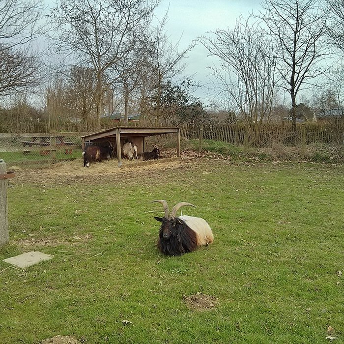 Photo de Écomusée du pays de Rennes