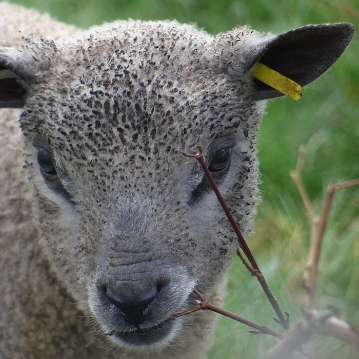 Photo de Écomusée du pays de Rennes