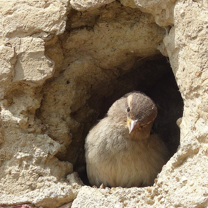 Photo de Écomusée du pays de Rennes