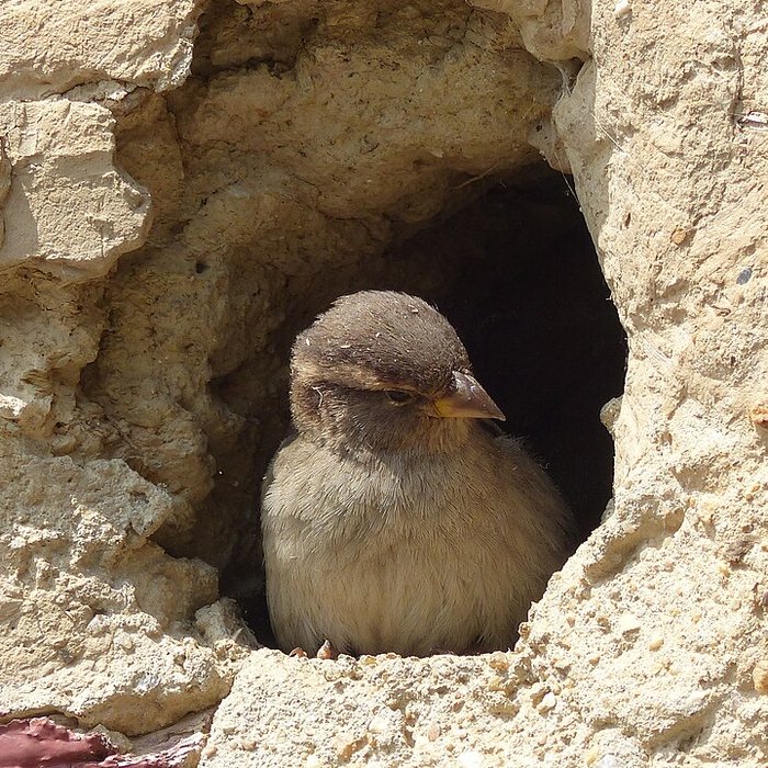 Photo de Écomusée du pays de Rennes