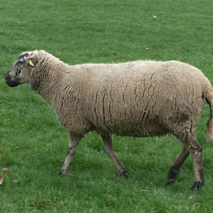 Photo de Écomusée du pays de Rennes