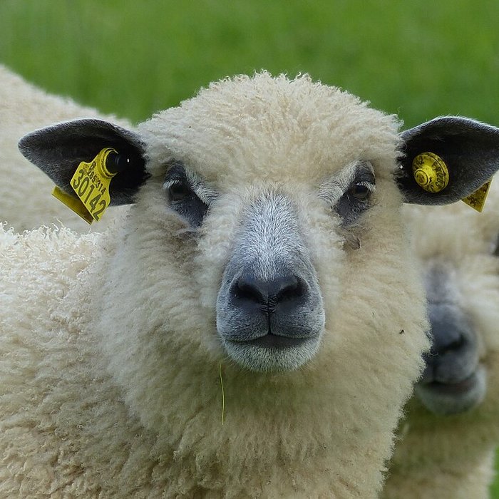 Photo de Écomusée du pays de Rennes