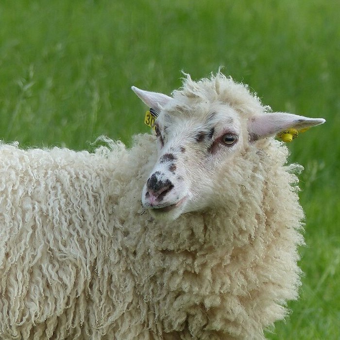 Photo de Écomusée du pays de Rennes