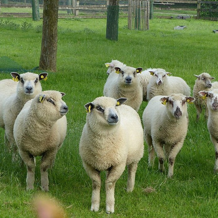Photo de Écomusée du pays de Rennes