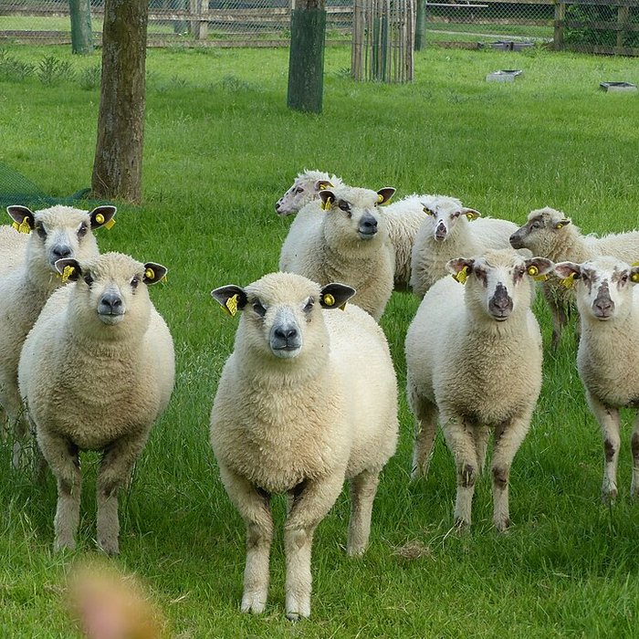 Photo de Écomusée du pays de Rennes