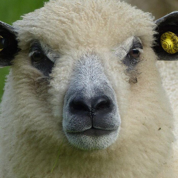 Photo de Écomusée du pays de Rennes