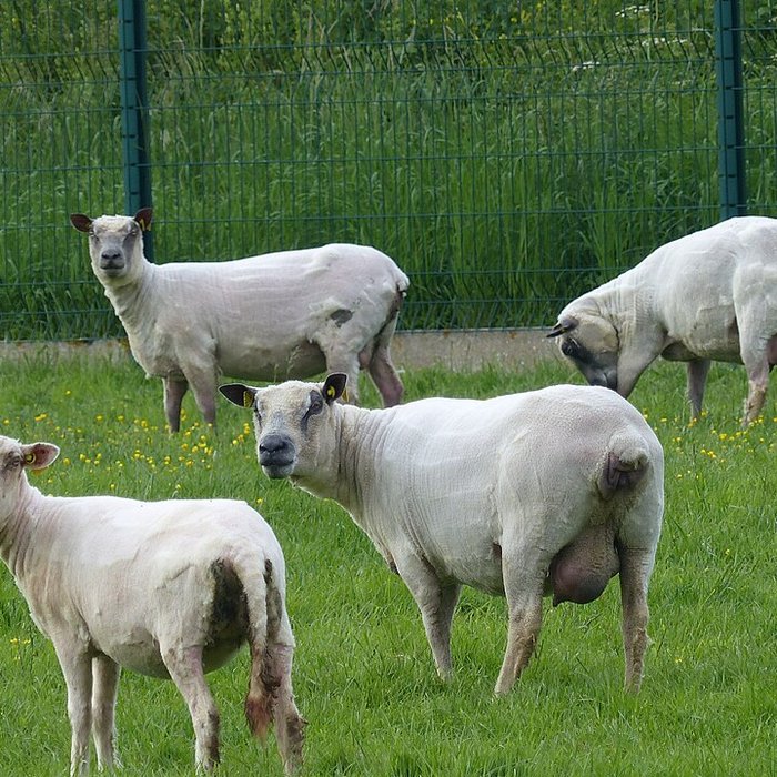 Photo de Écomusée du pays de Rennes