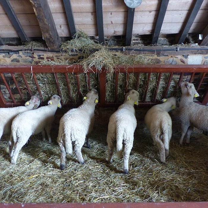 Photo de Écomusée du pays de Rennes