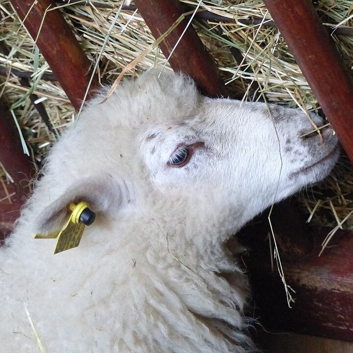 Photo de Écomusée du pays de Rennes