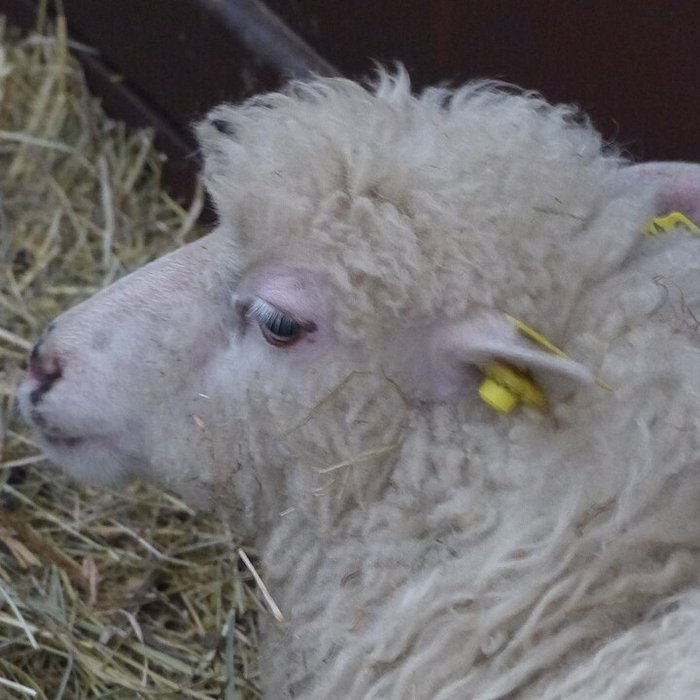 Photo de Écomusée du pays de Rennes