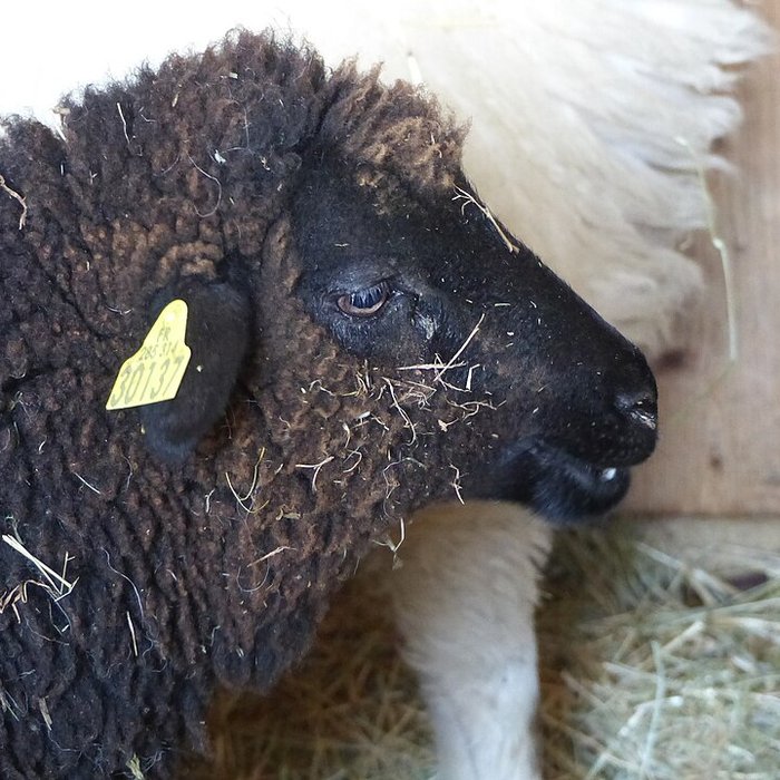 Photo de Écomusée du pays de Rennes
