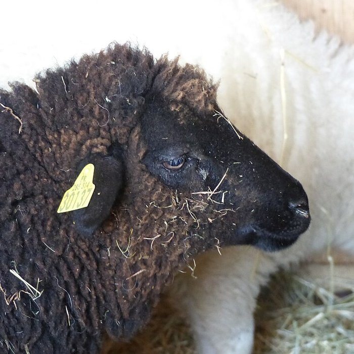 Photo de Écomusée du pays de Rennes