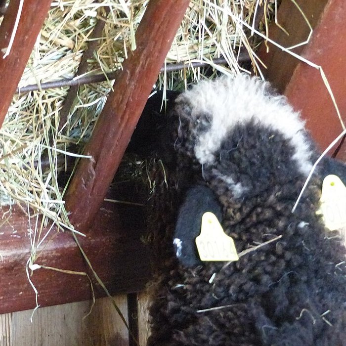 Photo de Écomusée du pays de Rennes