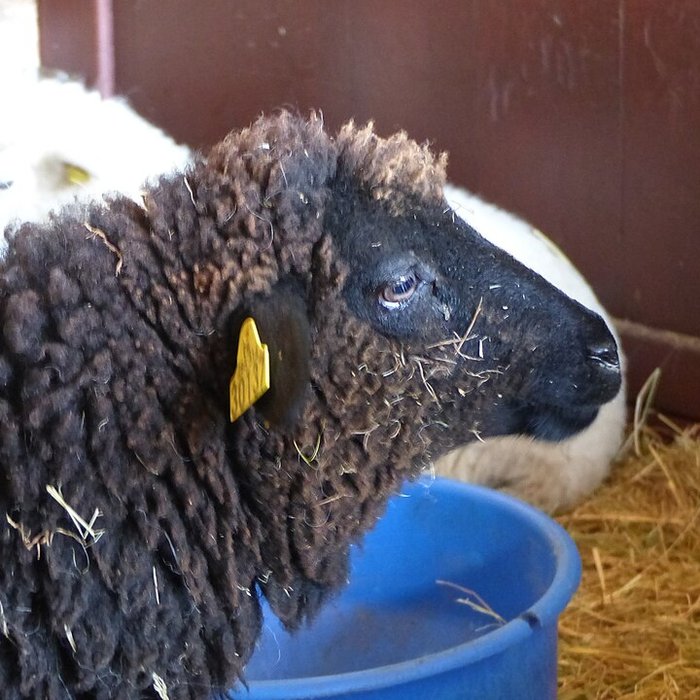 Photo de Écomusée du pays de Rennes