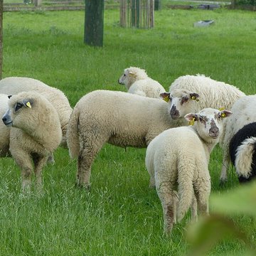 Écomusée du pays de Rennes